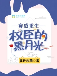 穿成重生權臣的黑月光