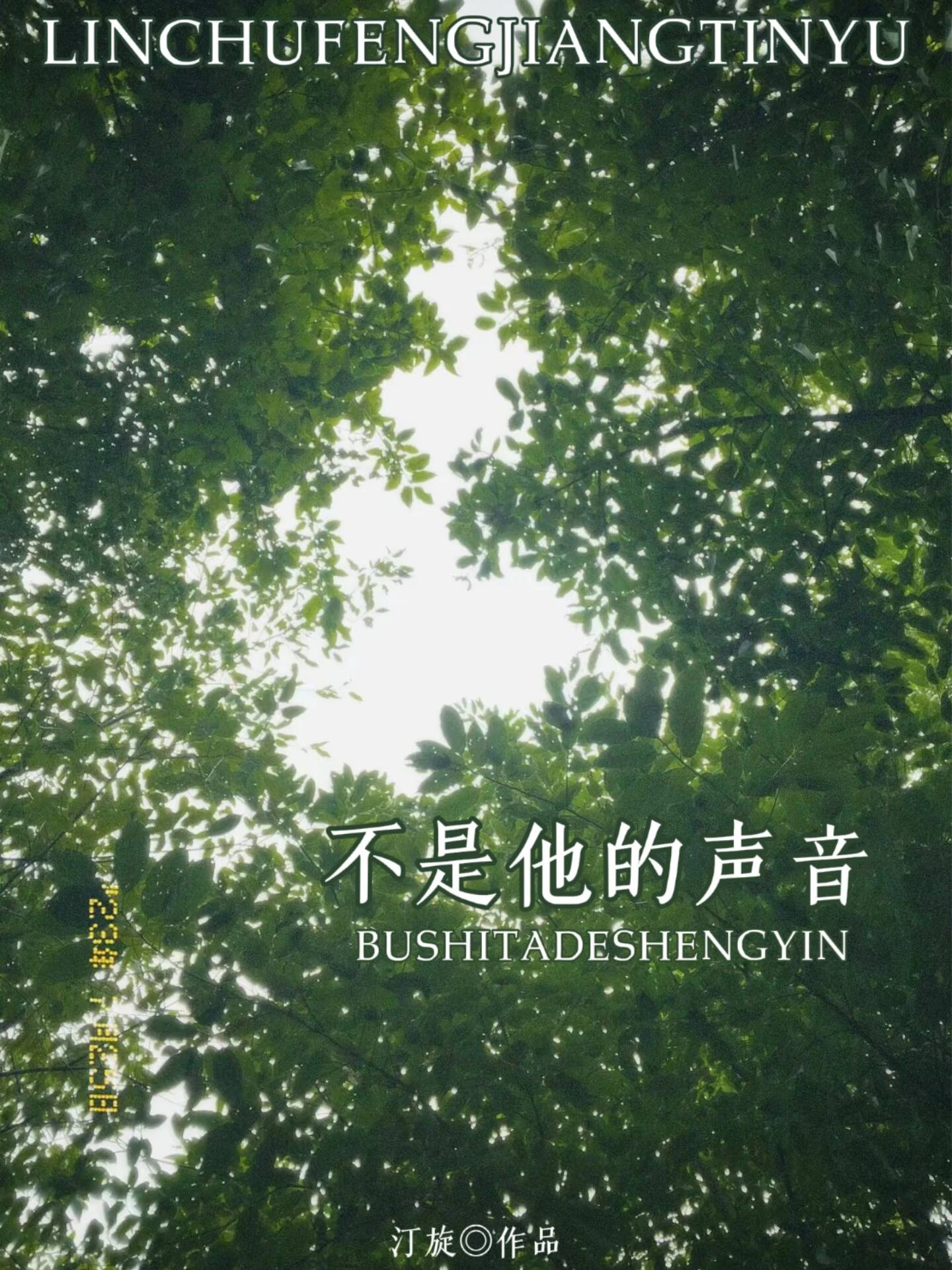 不是他的聲音［舊版］