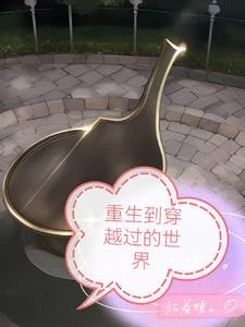 重生到穿越過的世界