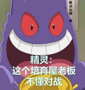 精靈：這個培育屋老闆不懂對戰
