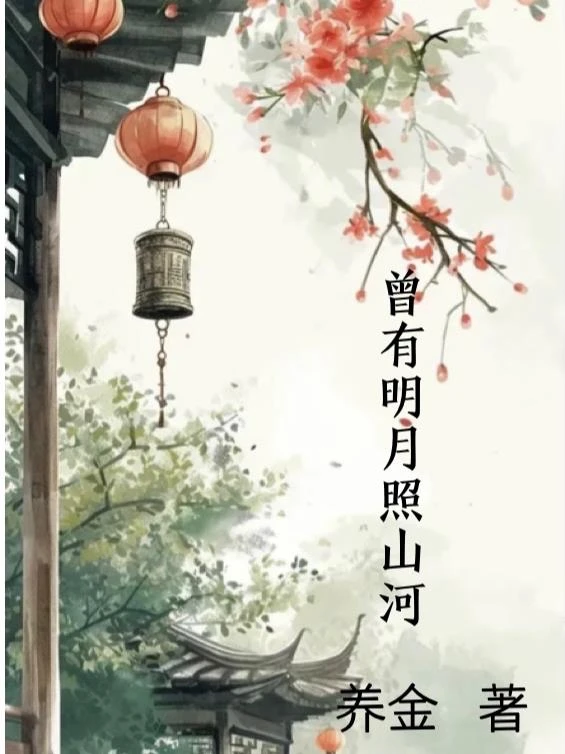 曾有明月照河山