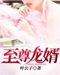 至尊龍婿