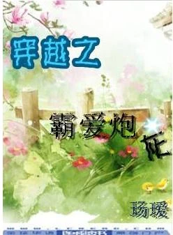 穿越之霸愛炮灰