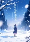 那年雪夜未逢君