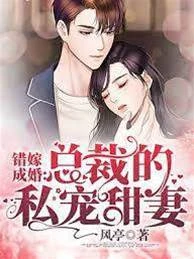 錯嫁成婚:總裁的私寵甜妻秦舒褚臨沉