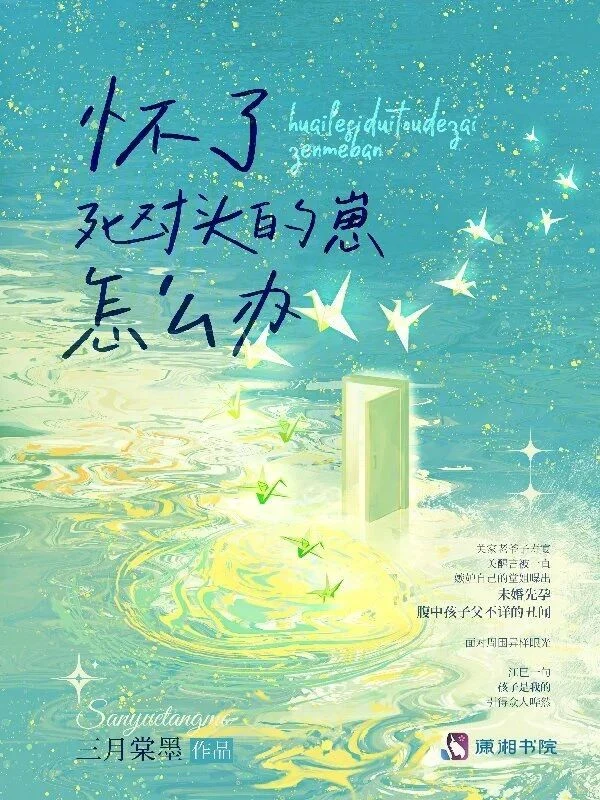懷了死對頭的崽怎麼辦