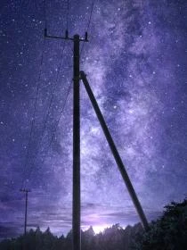 連理枝