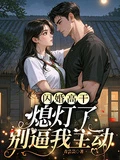 閃婚高幹:熄燈了,別逼我主動