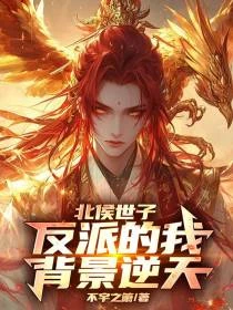 北侯世子：反派的我背景逆天