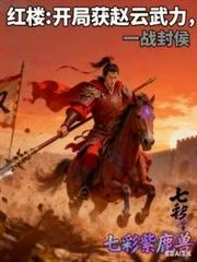 紅樓:開局獲趙雲武力,一戰封侯