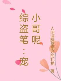 綜盜筆：不喜歡九門