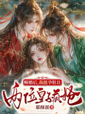 賜婚後,我挺孕肚讓兩位皇子瘋搶