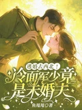 逃婚去西北,冷麵軍少竟是未婚夫