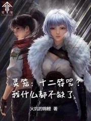 靈籠：十二符咒？我什麼都不缺了