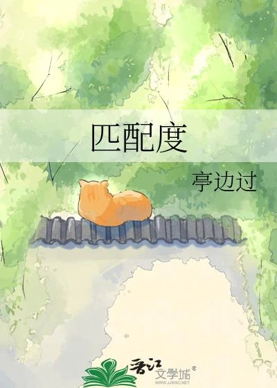 匹配度