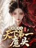 撿來的夫人竟是天下第一魔頭