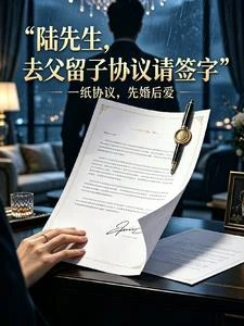 陸先生,去父留子協議請簽字